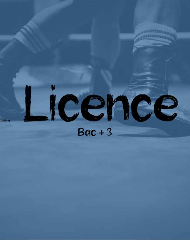 Licence