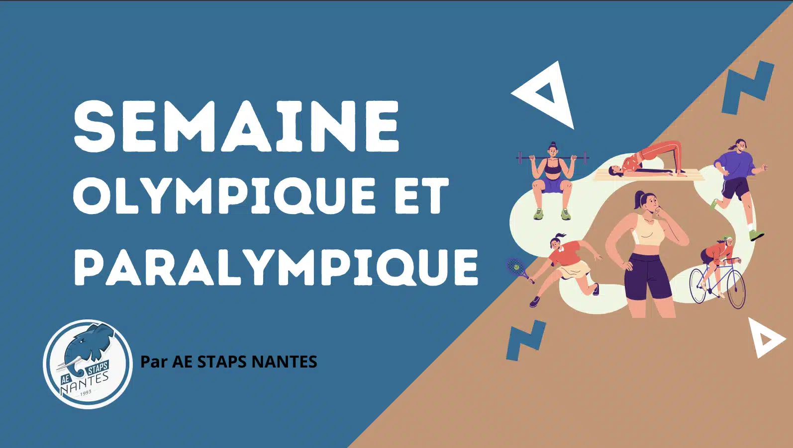 CAISSE 22-23 Stapsiates